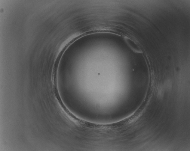 X0000053071141200507181619