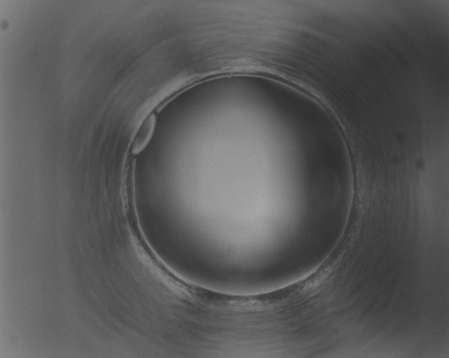 X0000053071142200507181619