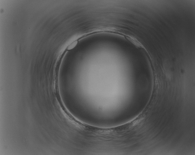 X0000053071143200507181619