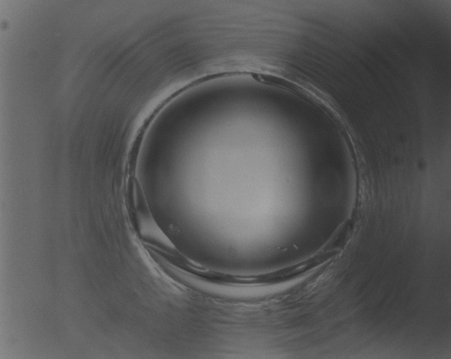 X0000053071144200507181619