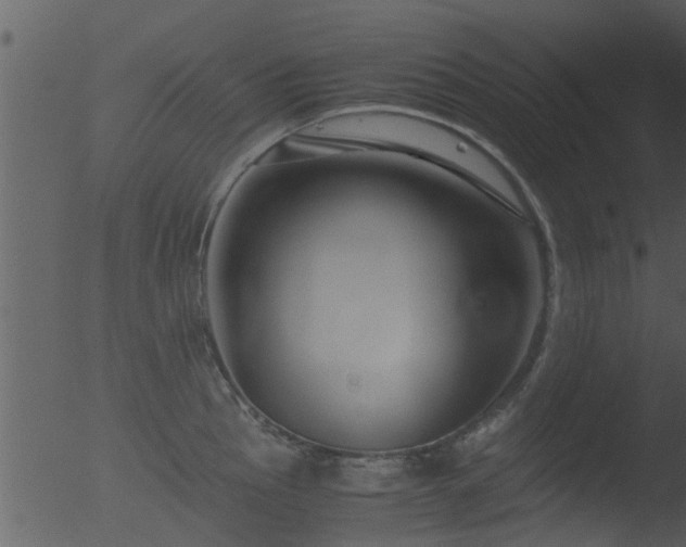 X0000053071145200507181619