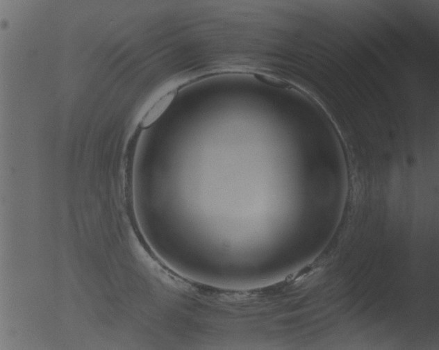 X0000053071147200507181619