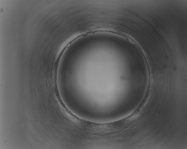 X0000053071149200507181619