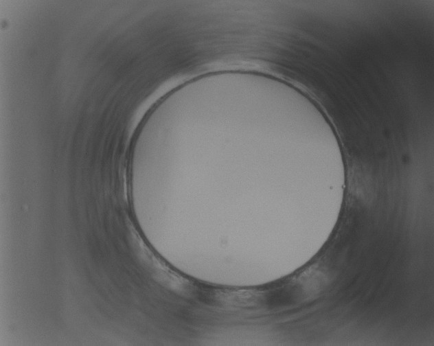 X0000053071150200507181619