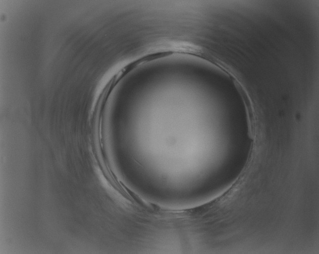 X0000053071152200507181619