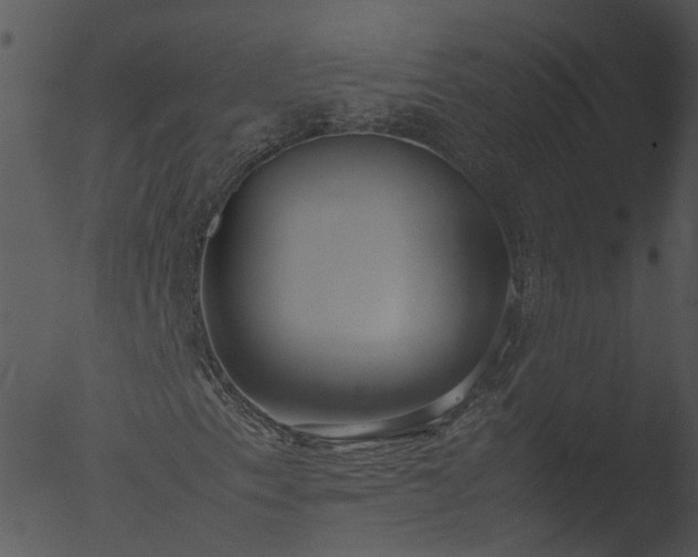 X0000053071153200507181619