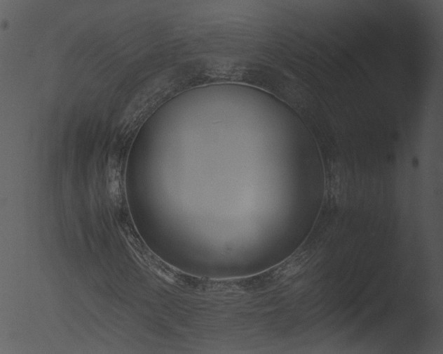 X0000053071154200507181619