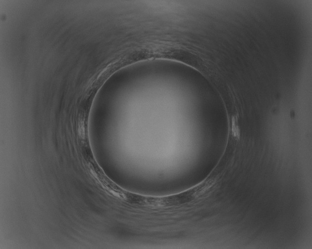 X0000053071155200507181619