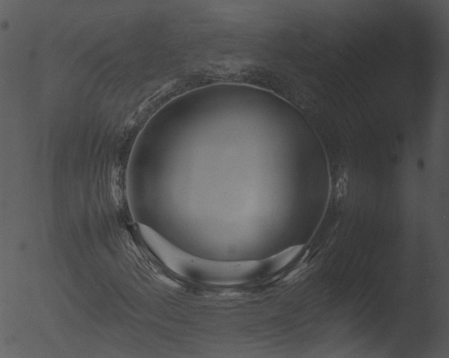 X0000053071156200507181619