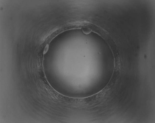 X0000053071158200507181619