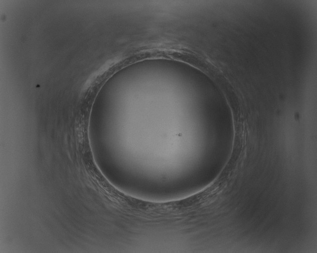 X0000053071159200507181619