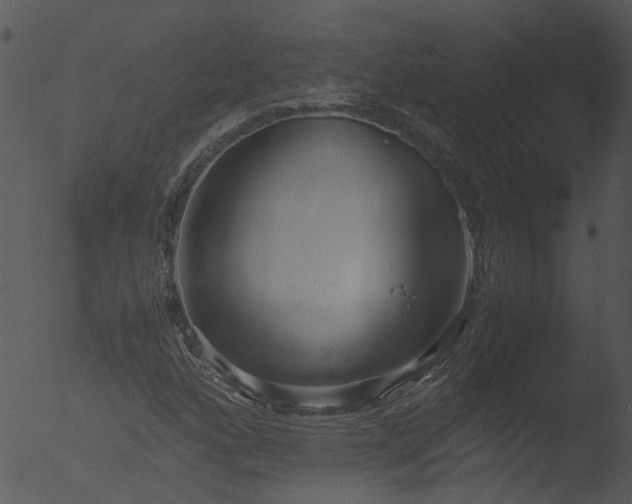 X0000053071160200507181618