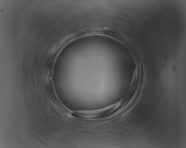 X0000053071161200507181618