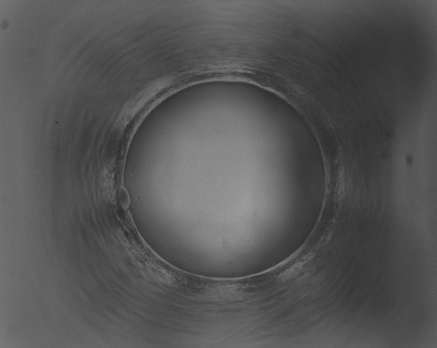 X0000053071162200507181618