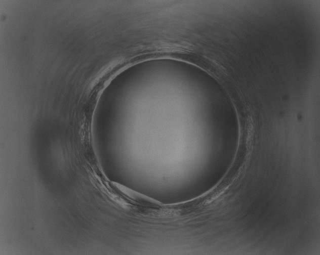 X0000053071163200507181618