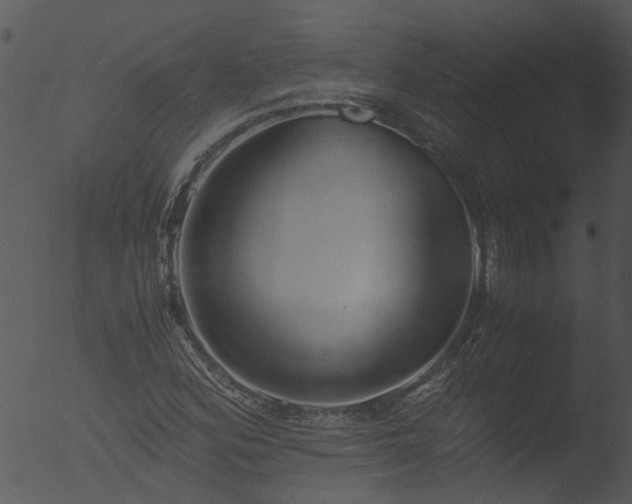 X0000053071164200507181618