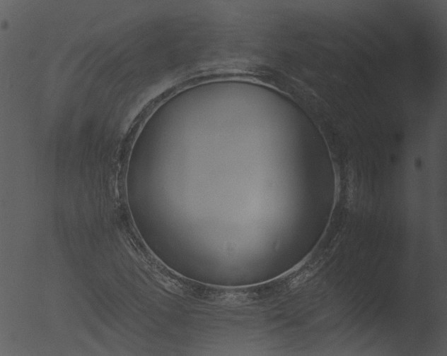 X0000053071166200507181618