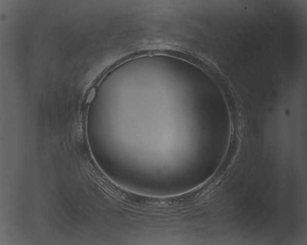 X0000053071167200507181618