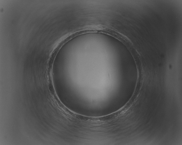 X0000053071168200507181618