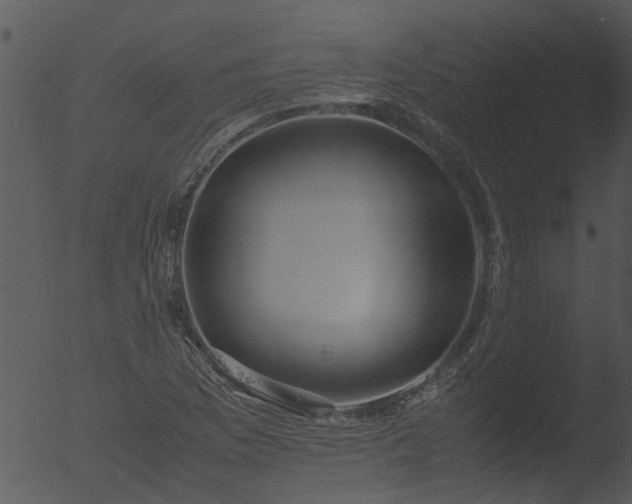 X0000053071169200507181618