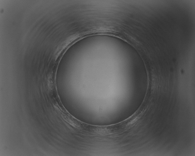 X0000053071170200507181618