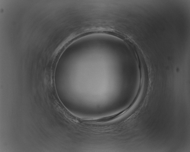 X0000053071173200507181618