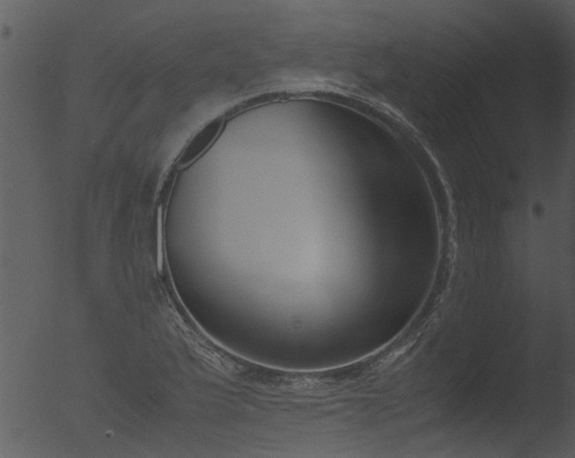 X0000053071175200507181618