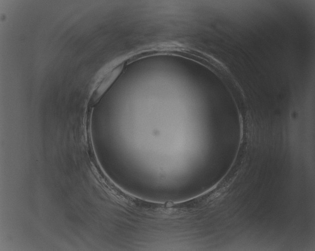 X0000053071176200507181618