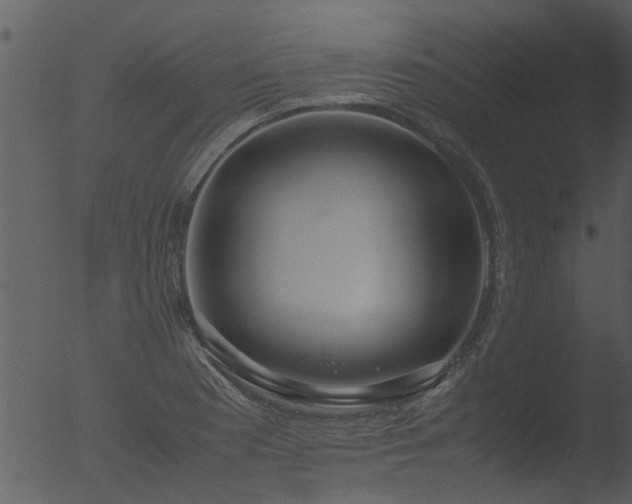 X0000053071177200507181618