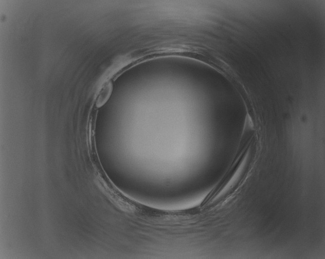 X0000053071179200507181618