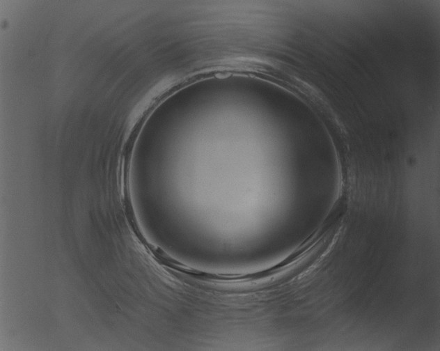 X0000053071180200507181618