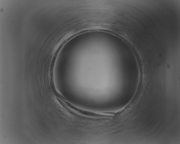 X0000053071181200507181618