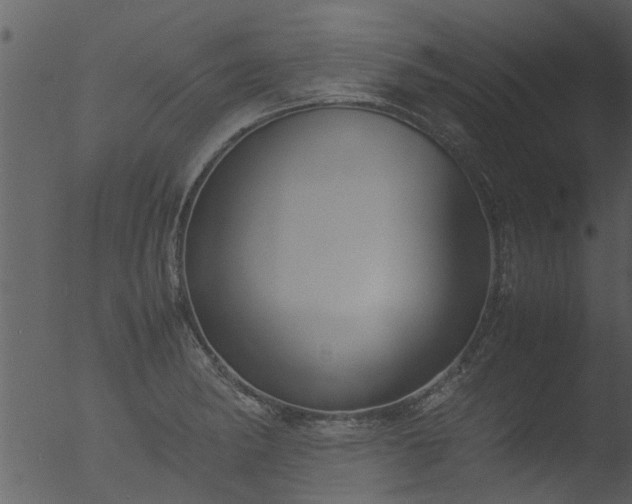 X0000053071182200507181618