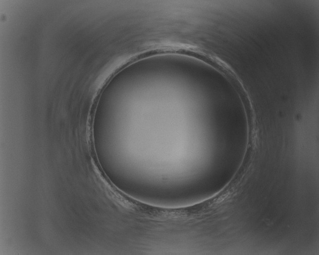 X0000053071183200507181618