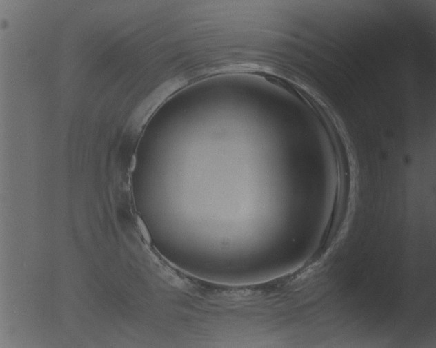 X0000053071193200507181618