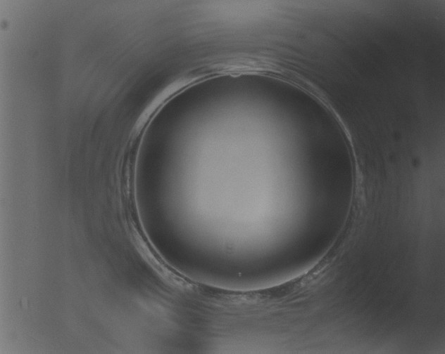 X0000053071195200507181618