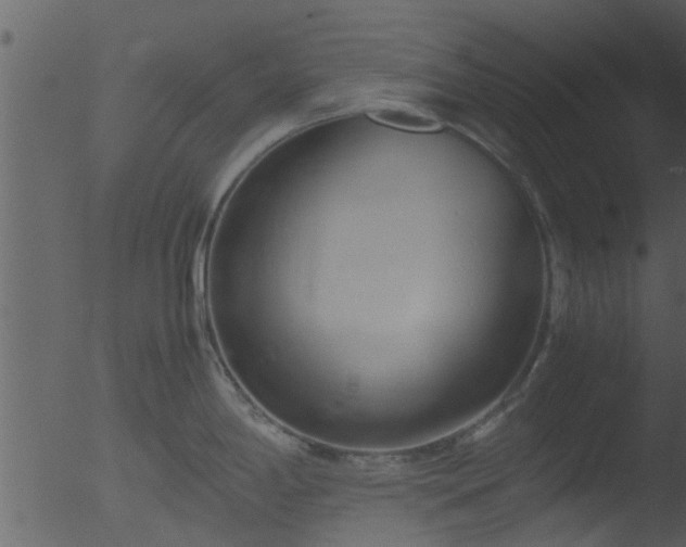 X0000053071198200507181618