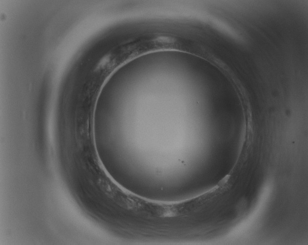 X0000053071199200507181618