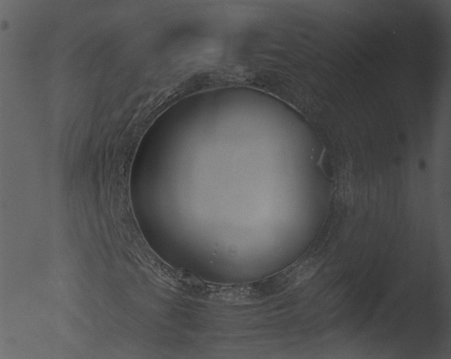 X0000053071201200507181617