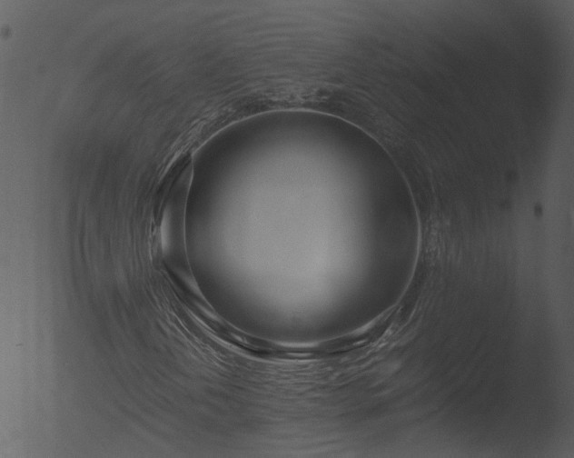 X0000053071202200507181617