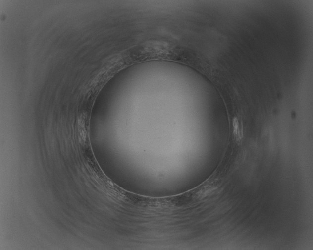 X0000053071203200507181617