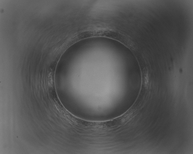 X0000053071204200507181617