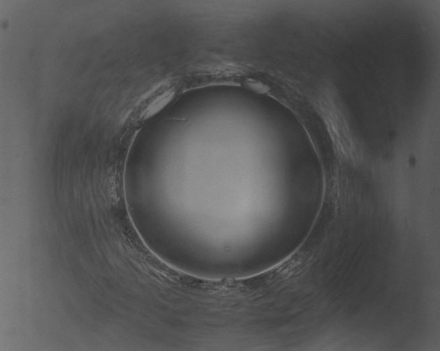 X0000053071205200507181617