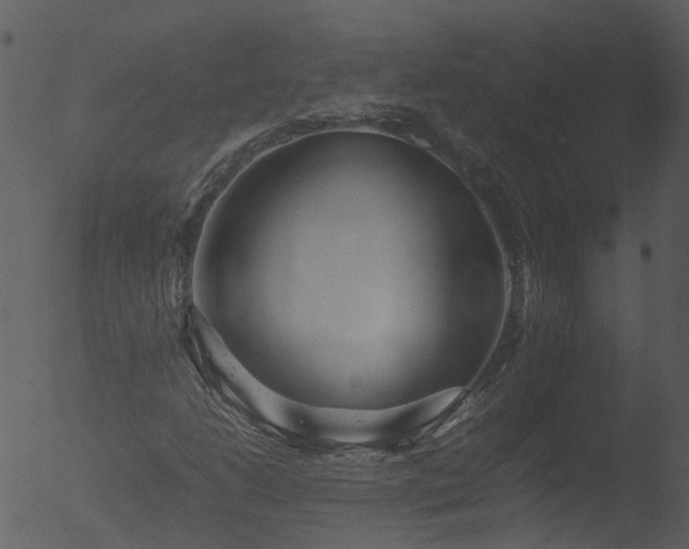 X0000053071206200507181617