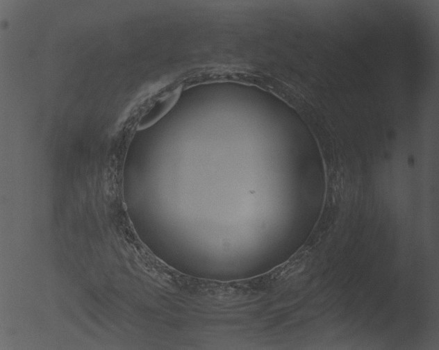 X0000053071207200507181617