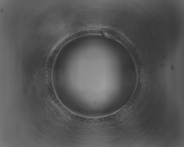 X0000053071208200507181617