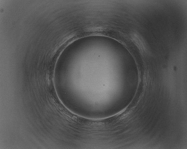 X0000053071209200507181617