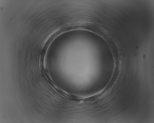 X0000053071210200507181617