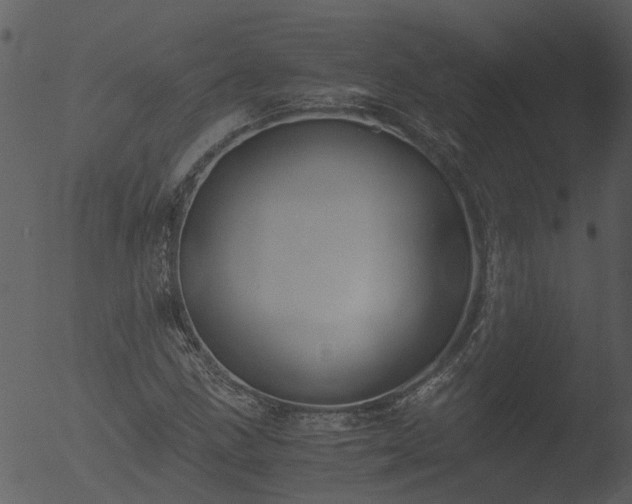 X0000053071211200507181617