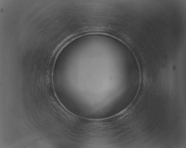 X0000053071212200507181617